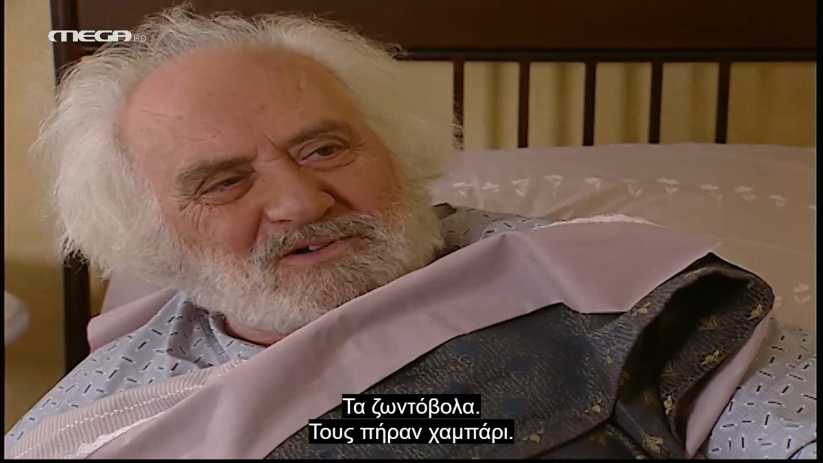 ΖεSουί LENA tweet media