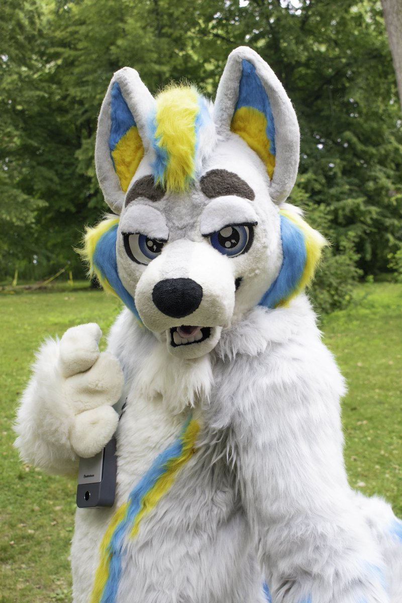 Spark Husky tweet media