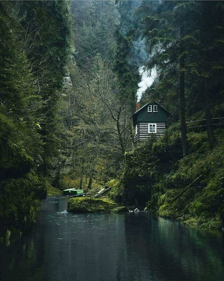 Earth 🍃 tweet media