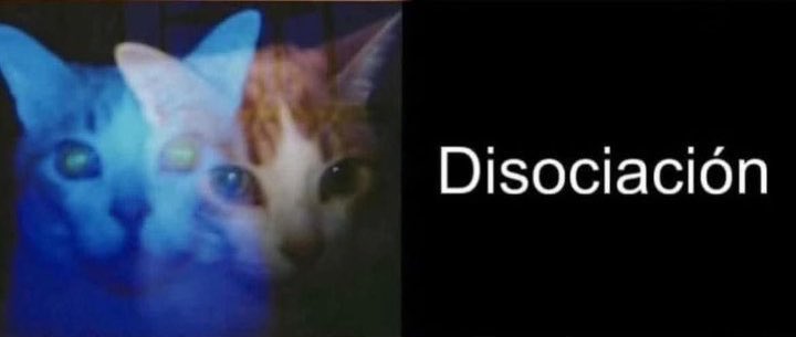 Ryune GO "Era 2026" tweet media