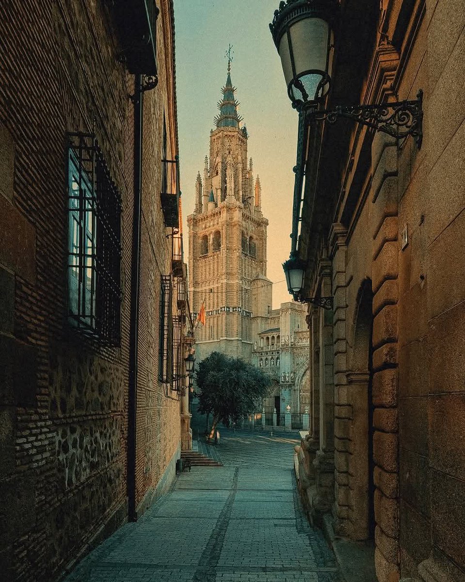 ReNature🦋 tweet media