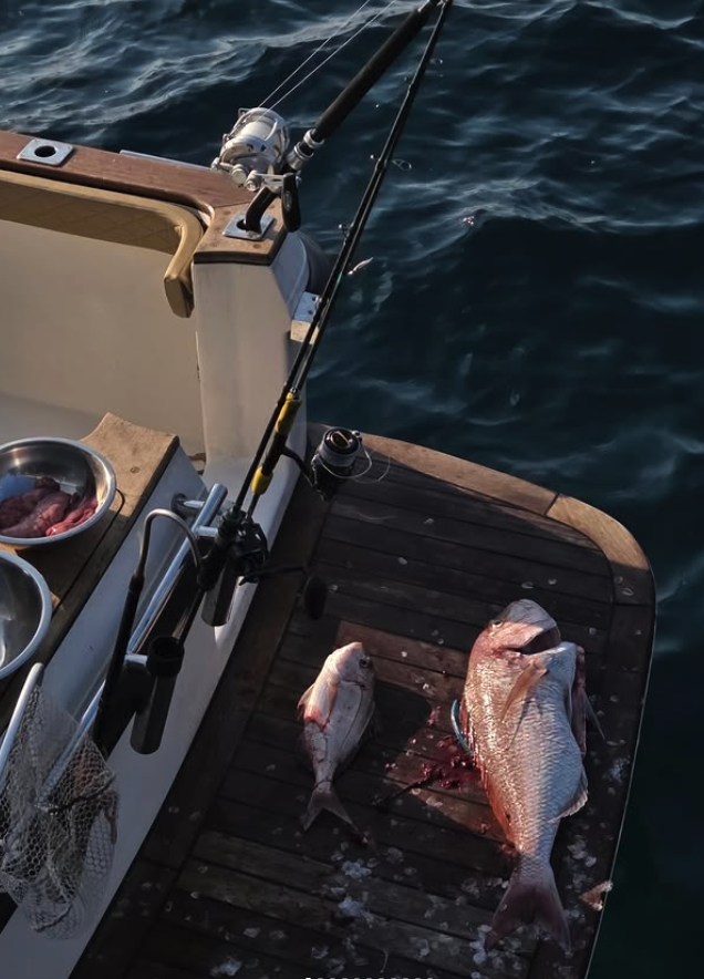 Nicola Amadio tweet media