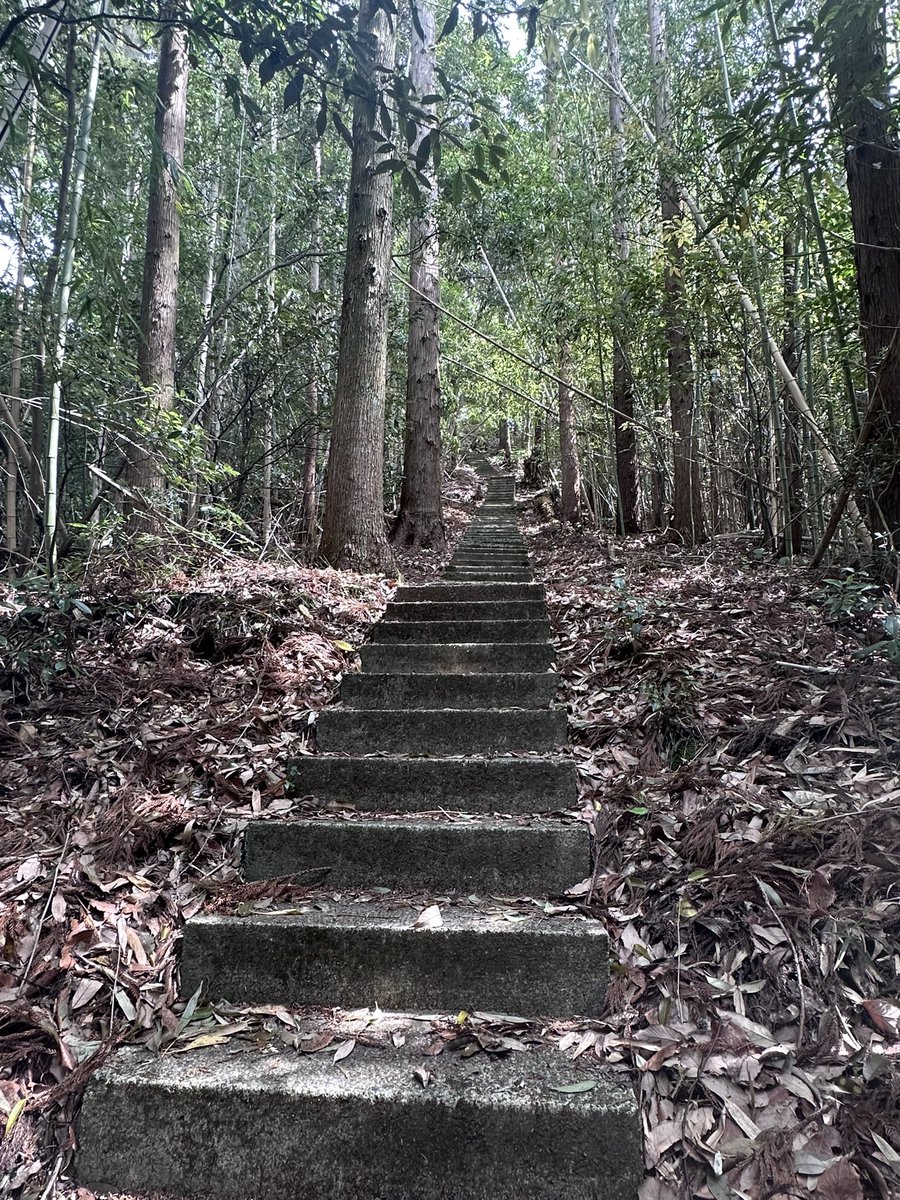 Yuji Funamoto / 船本 祐司 tweet media