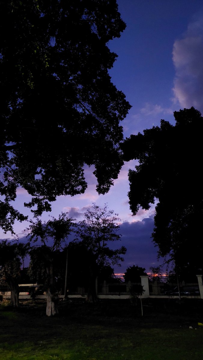 Jori ♡ tweet media