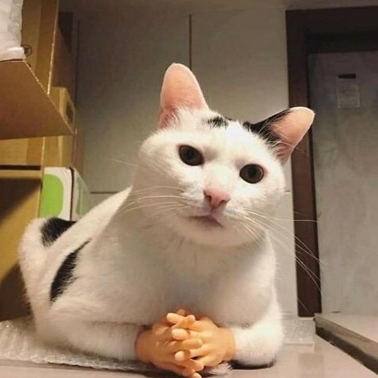 emmanuel tweet media