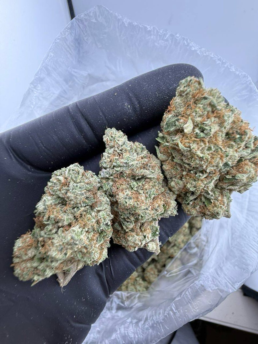 Smartweed🍃👻 tweet media