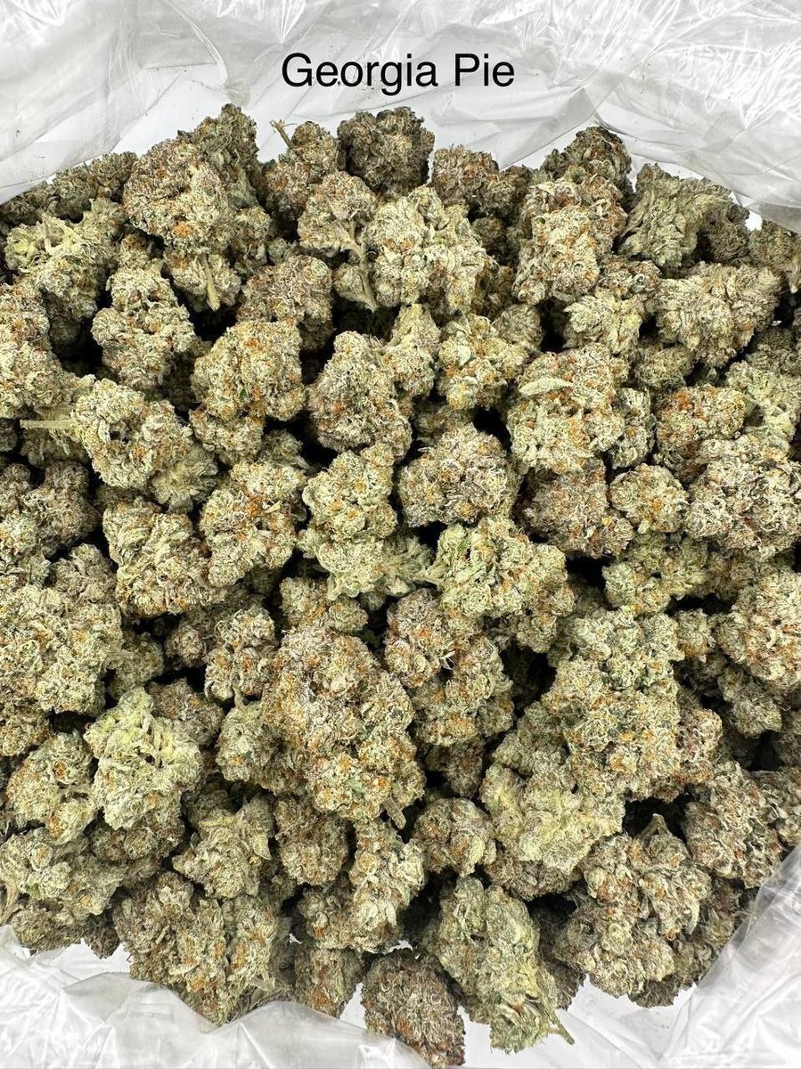 Smartweed🍃👻 tweet media