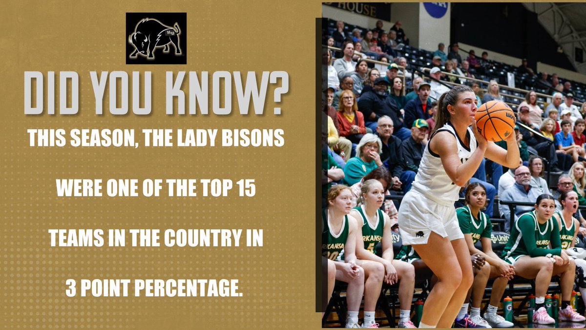 HU Lady Bisons tweet media