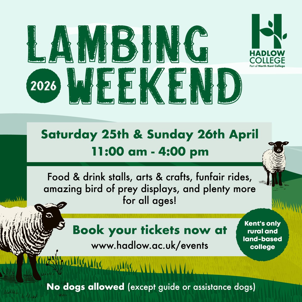 NKCGroup1's tweet photo. Enjoy a fun-filled spring weekend at Hadlow College! 🌼🐑

Meet our adorable newborn lambs, enjoy tractor rides, vineyard and orchard tours, live demonstrations, a range of stalls and family-friendly activities across the campus.

🎟️ Get your tickets here: https://t.co/03ra7zrAV3 https://t.co/HUsCiYvapW