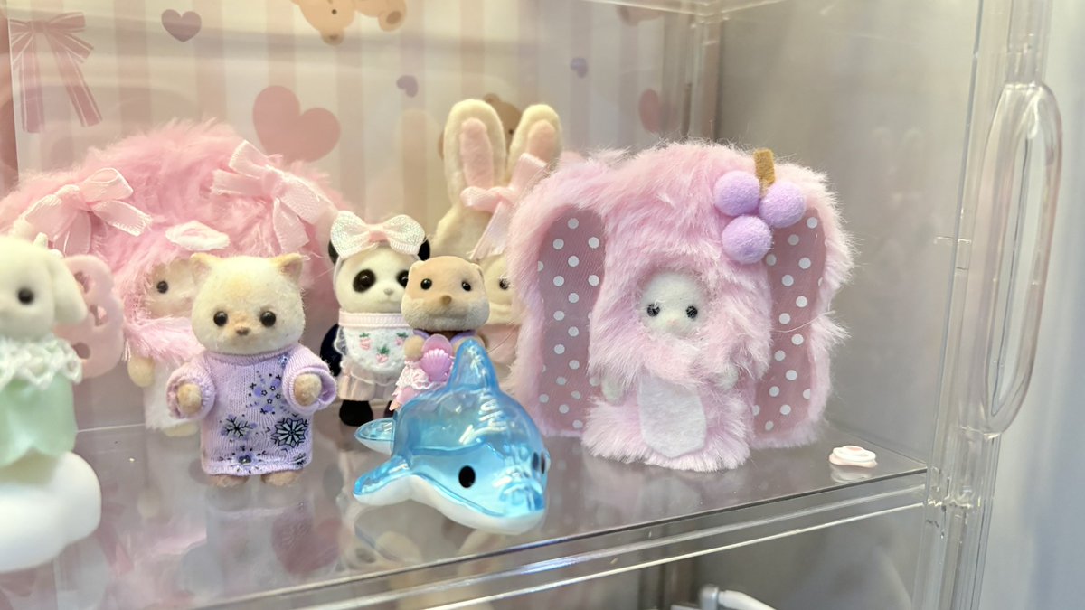 🅰️ little lily👸🏼💭₊˚ෆ 🐰ྀི mt after dm tweet media