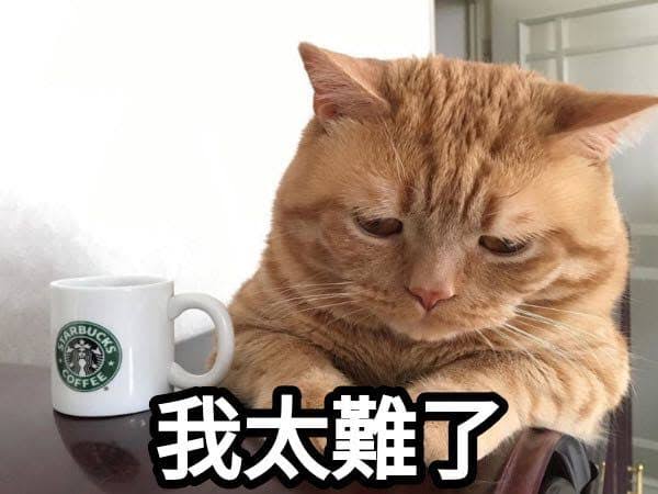 瑪珂芙特•翡翠/Malkuth•Emerald🍃聖獸系Vtuber tweet media