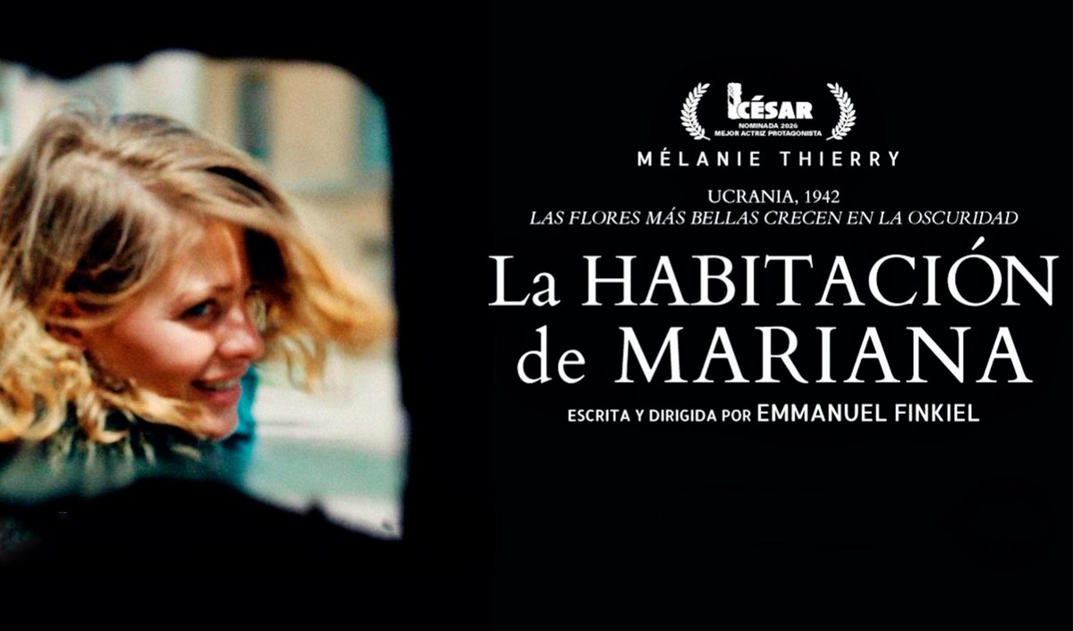 Oficina MEDIA España tweet media