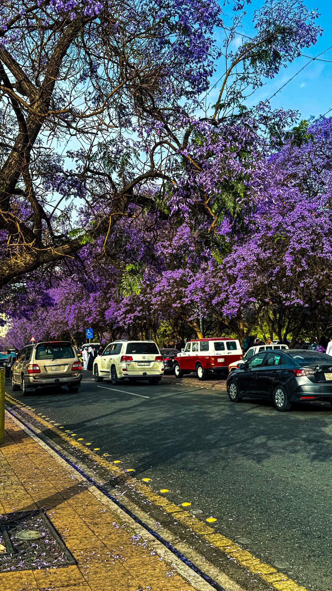 ‏ فالكون tweet media