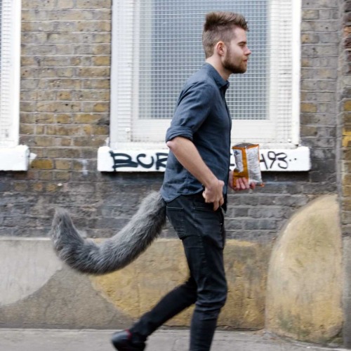 CyanWolfGhost's tweet photo. I just received a contribution towards Wonderful Wolf Tails from Anonymous via Throne. Thank you! https://t.co/4sYWfWY4Oe #Wishlist #throne https://t.co/K6OWbpJ8ka