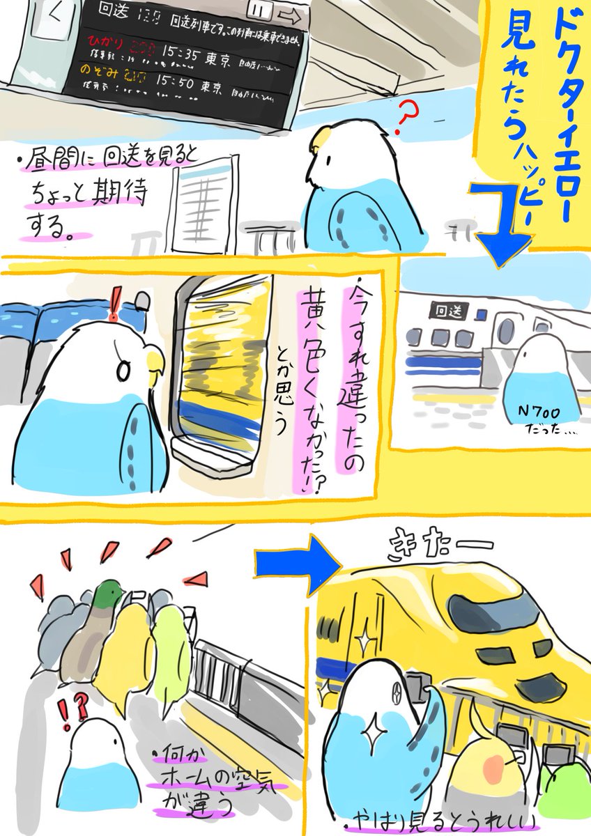 ほし（旅イラスト＆水中写真） tweet media