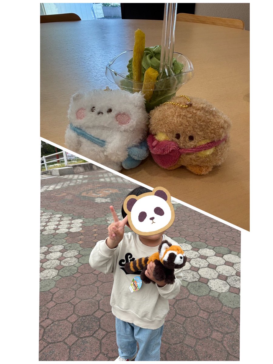 Hana momoyou🐹🐱 tweet media