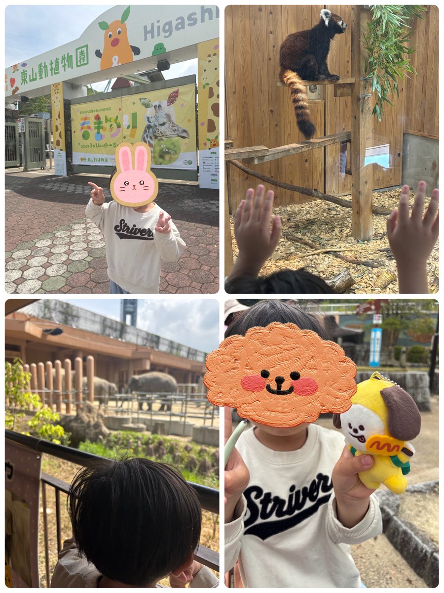 Hana momoyou🐹🐱 tweet media