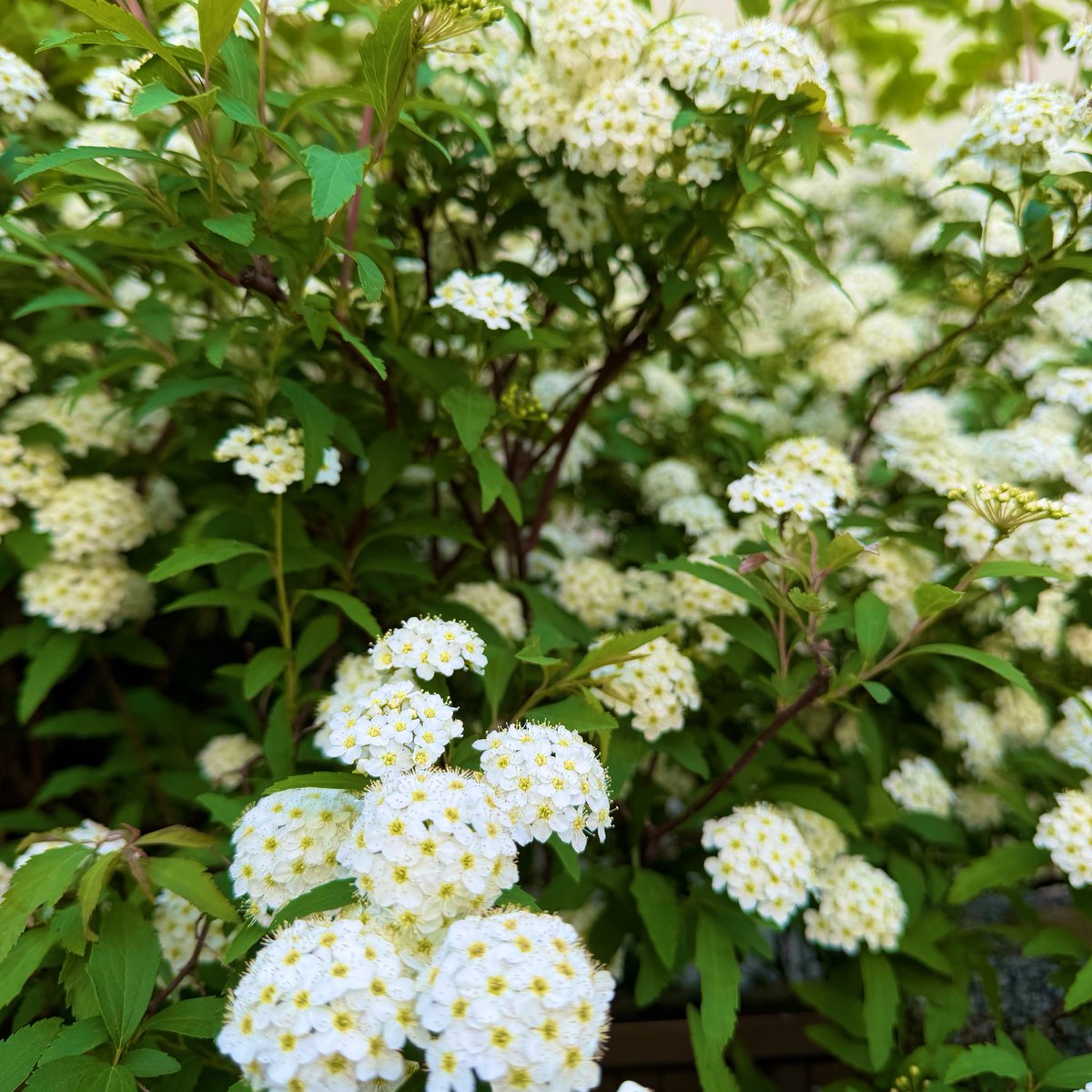 imagine works tweet media