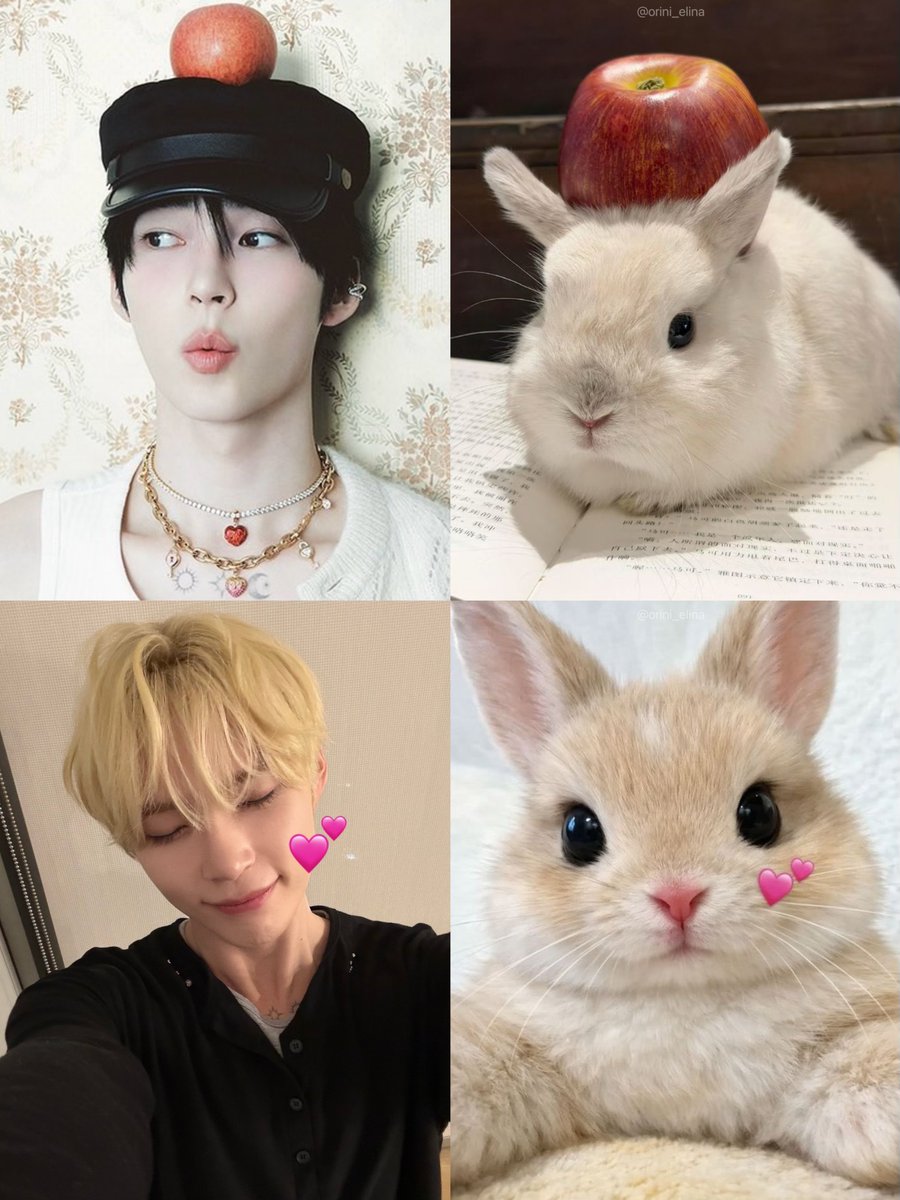 깨눈이 tweet media