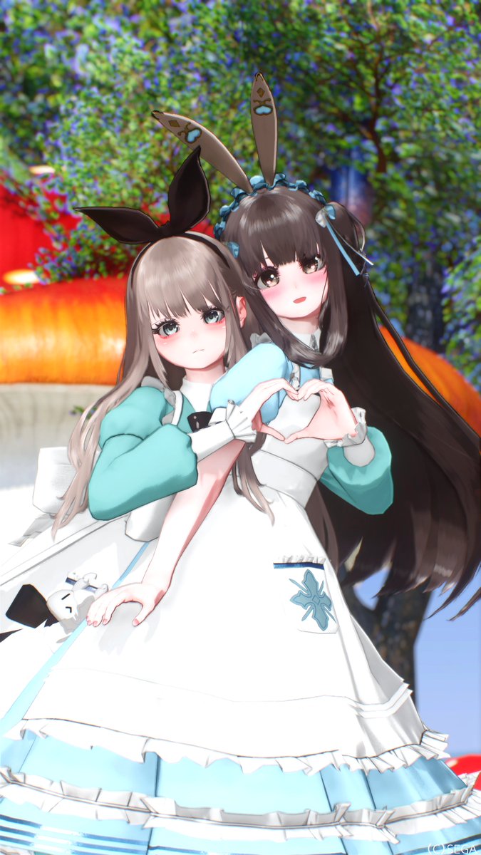 みぃー🐈‍⬛🐾 tweet media