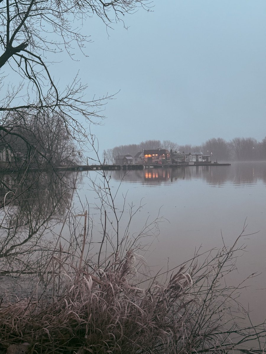 Lise C Sarault 🦋 tweet media