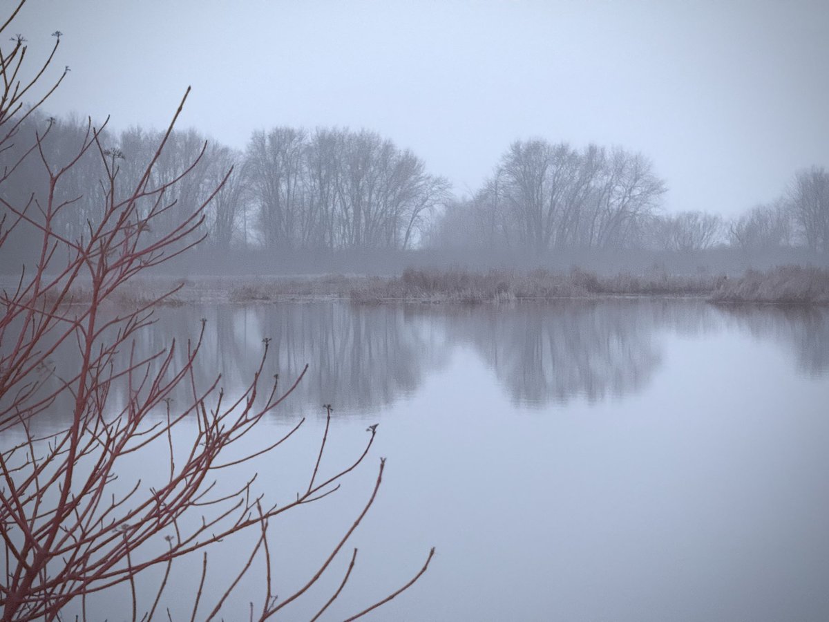 Lise C Sarault 🦋 tweet media