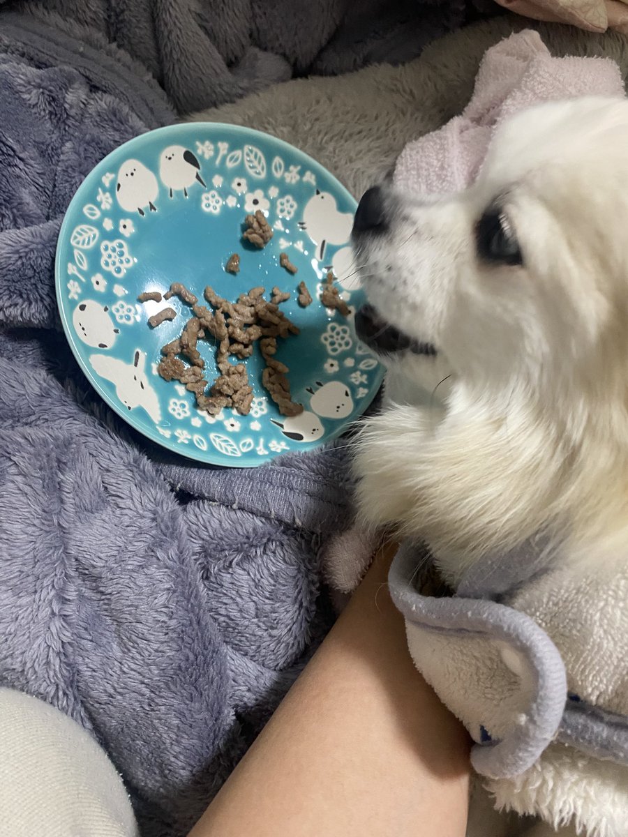 なないろ tweet media