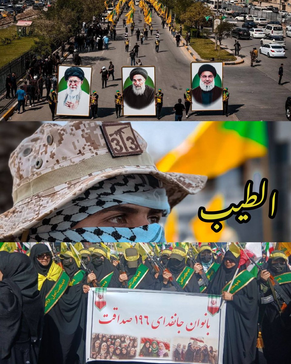 الطيب tweet media