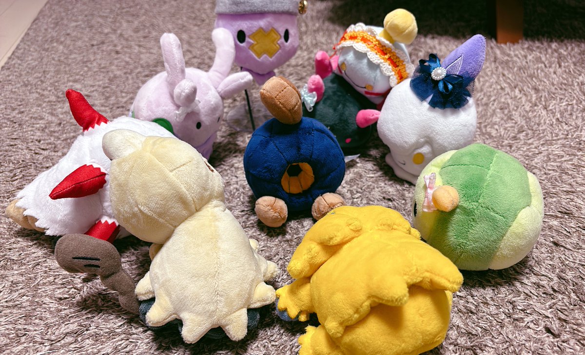 モシちゃんと俺 tweet media