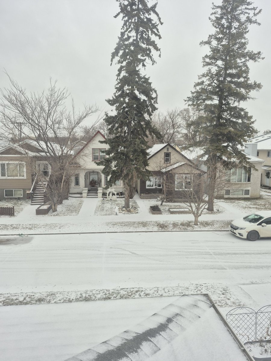 sam 🏒 tweet media