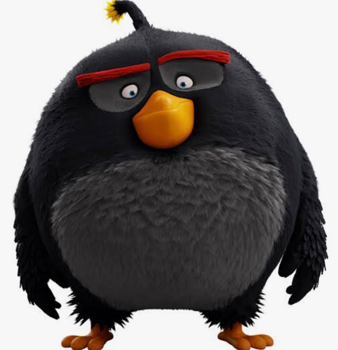 DiscussingSoy 🌟 tweet media