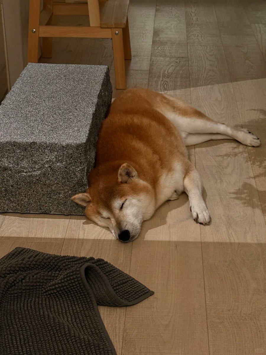 Household2001's tweet image. aturation  | White + gray + warm wood | Open floor plan, hidden storage | Clean aesthetic, maximum vibes | What do you think?
#MinimalDesign #HomeInspo