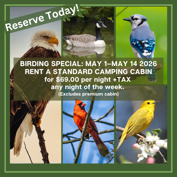CampersCoveWH's tweet image. Call or Email to reserve! #birding #camping #pointpelee