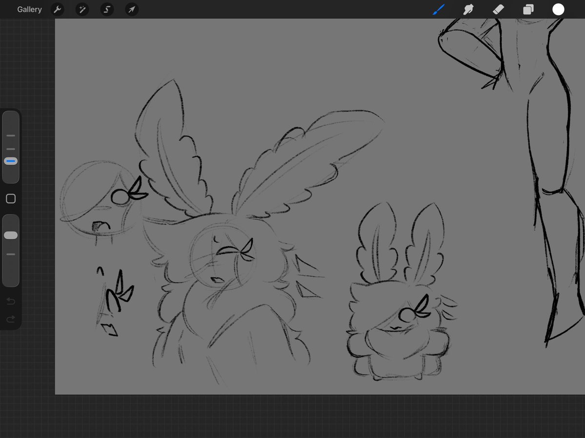 No_Blanks tweet media