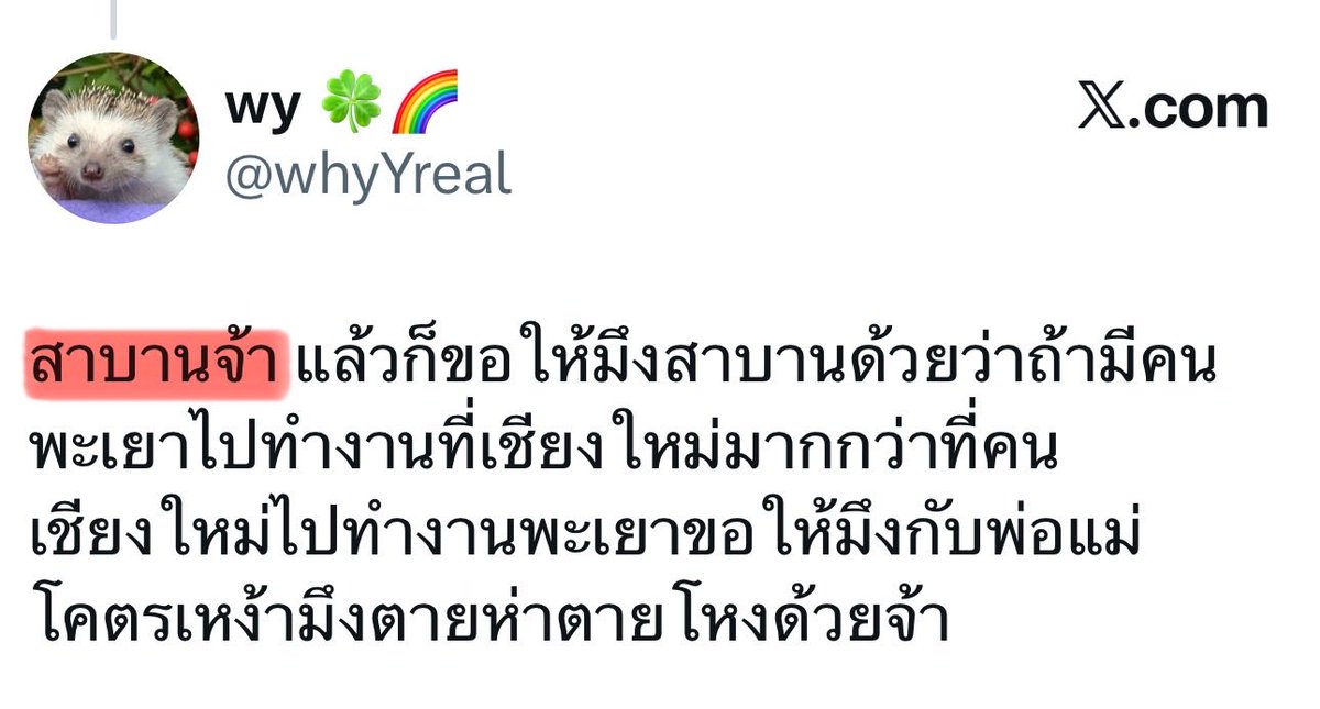 wy 🍀🌈 tweet media