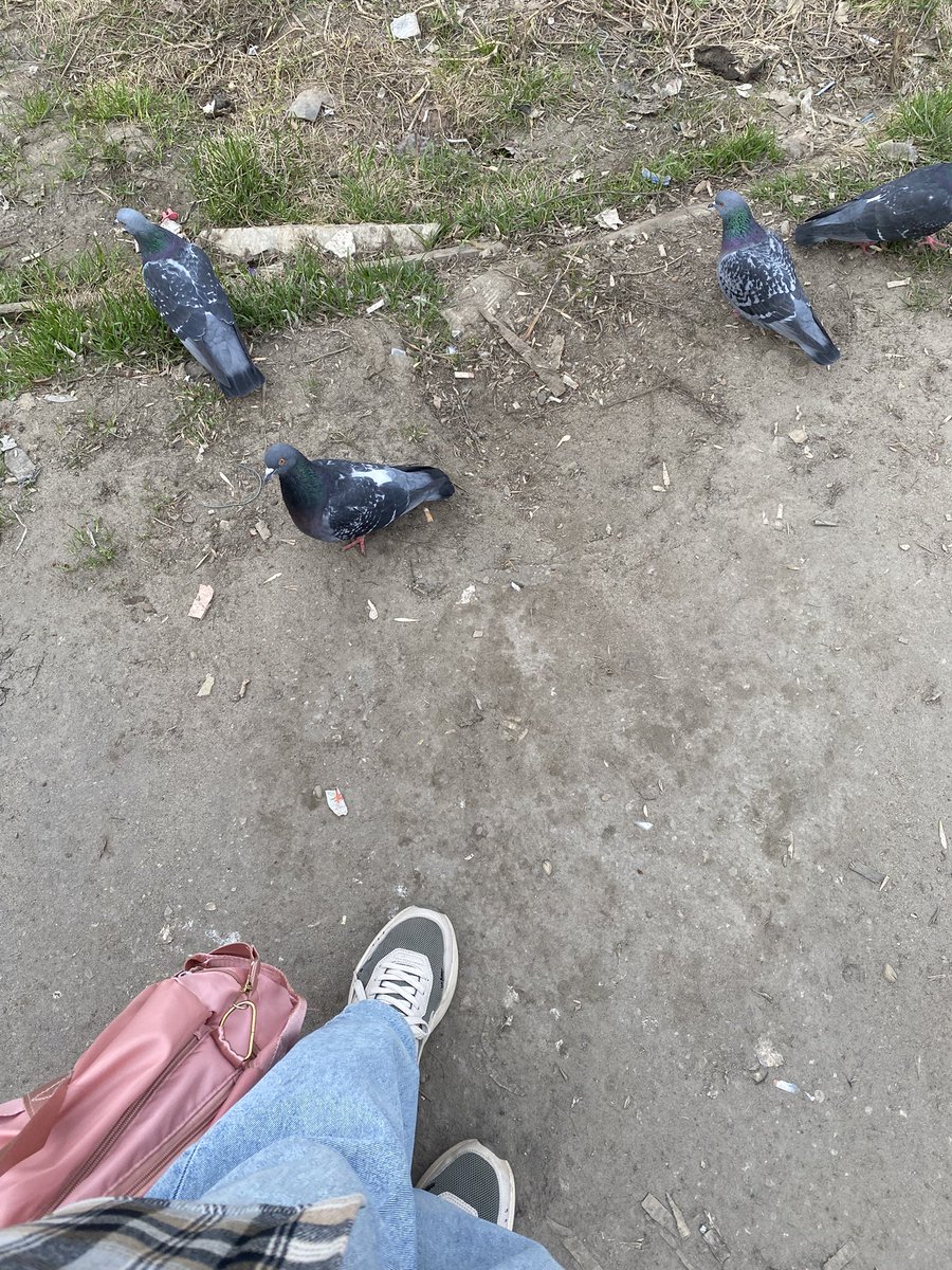 лютик в свитере с совушкой tweet media