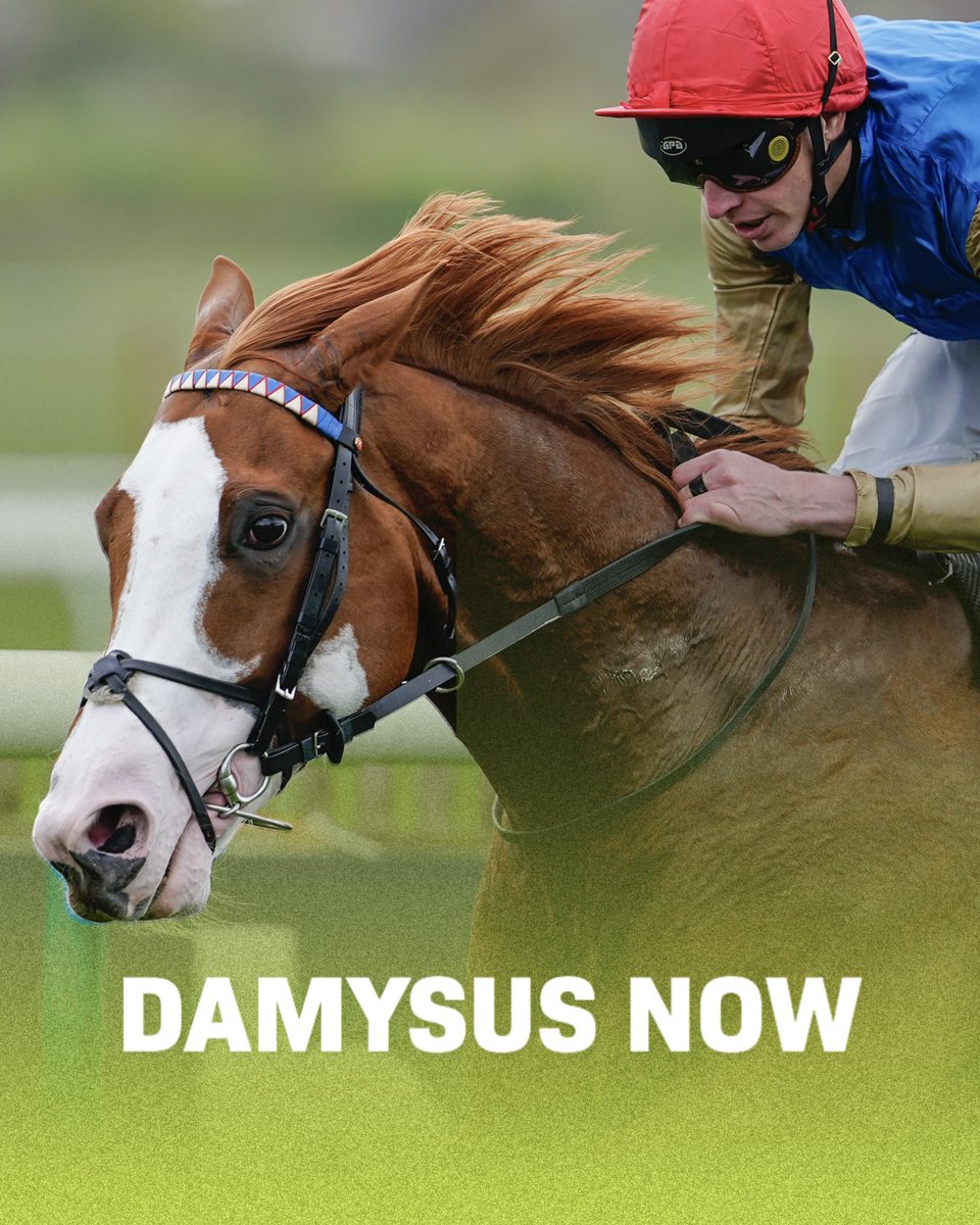 World Horse Racing tweet media