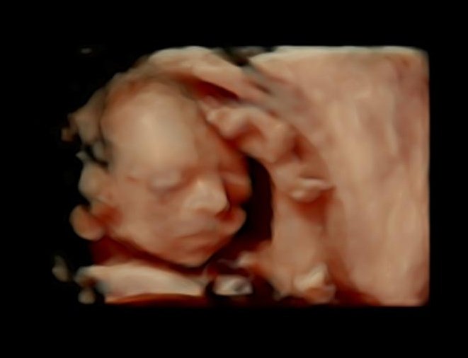 Al Capone tweet media