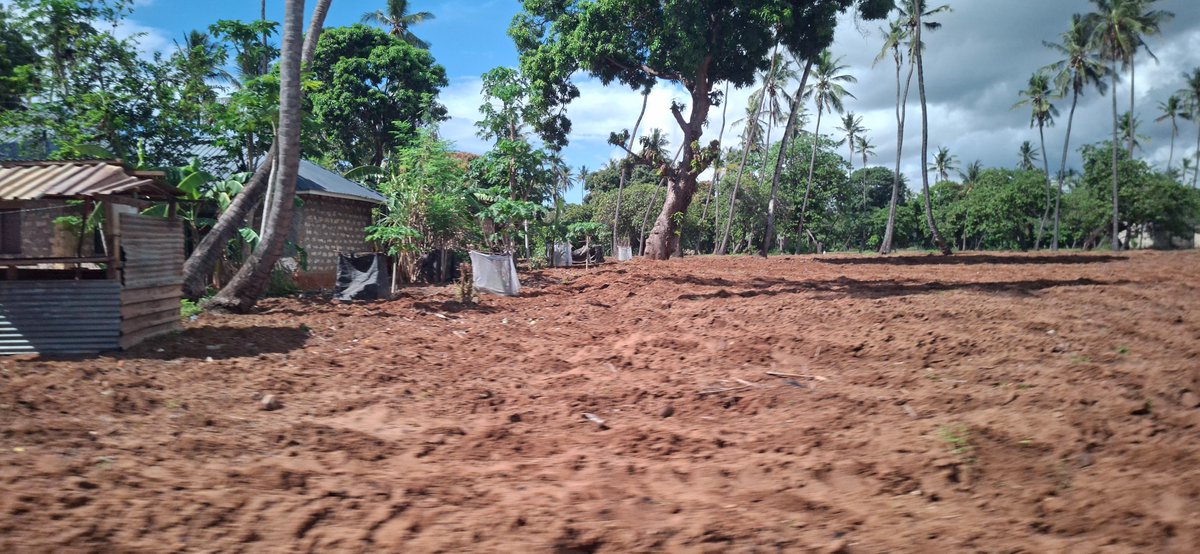 AfroClimate tweet media