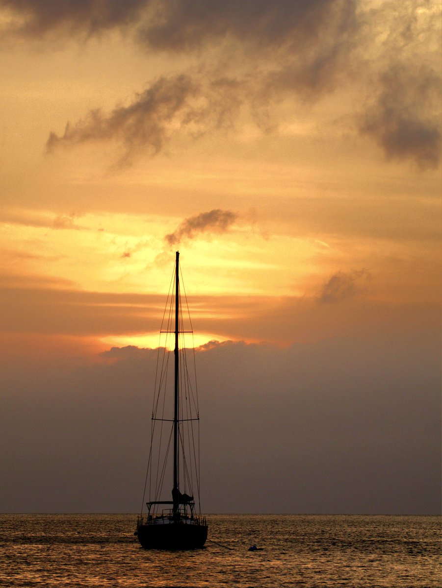 LuisG 🍁 tweet media