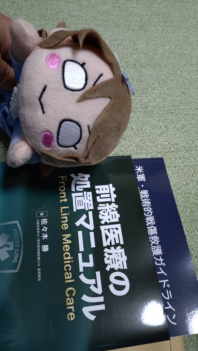 SS331　台湾独立 tweet media