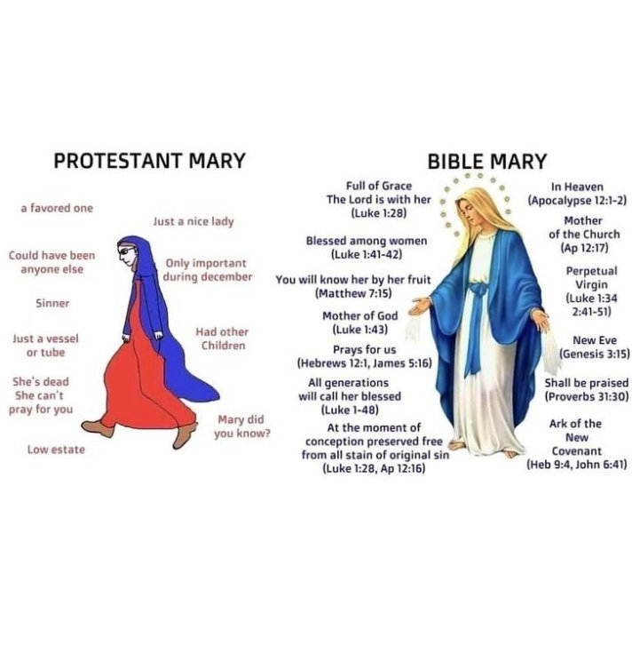 Christus Rex🇻🇦 tweet media