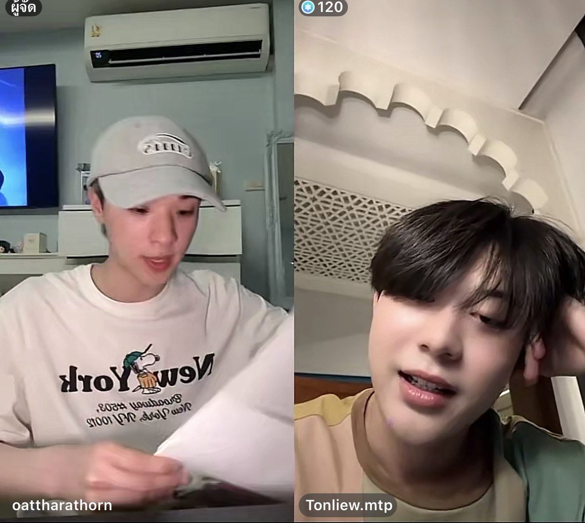 Garden of Tonliew tweet media