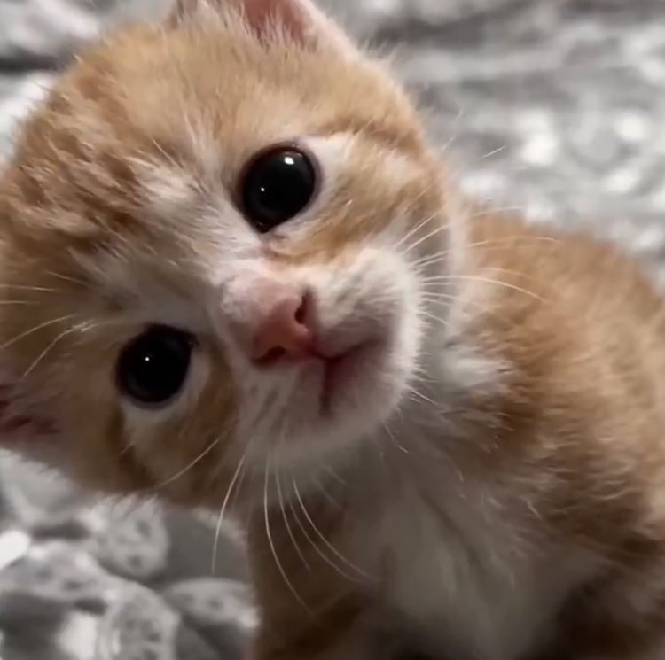 ตุวเดียวกันเยย