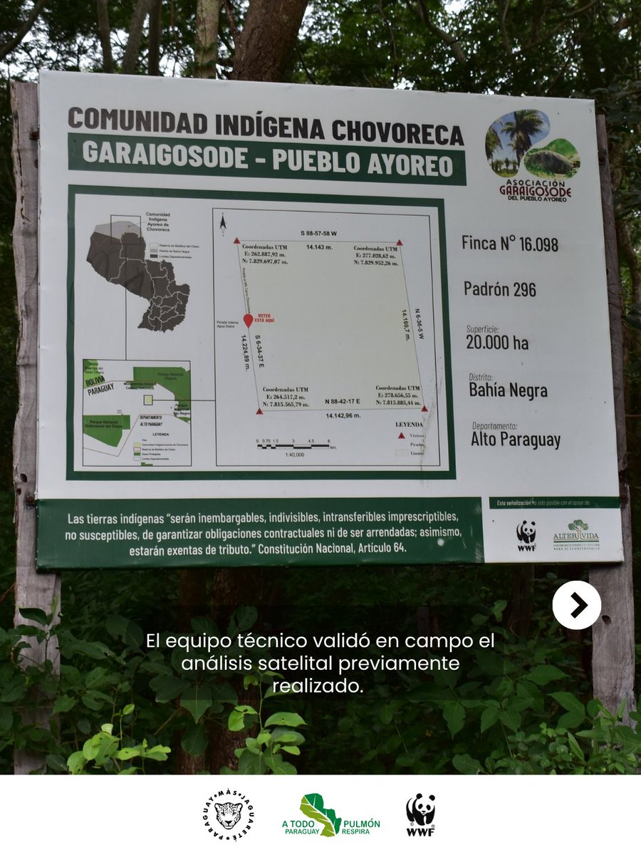 A Todo Pulmón Paraguay Respira tweet media
