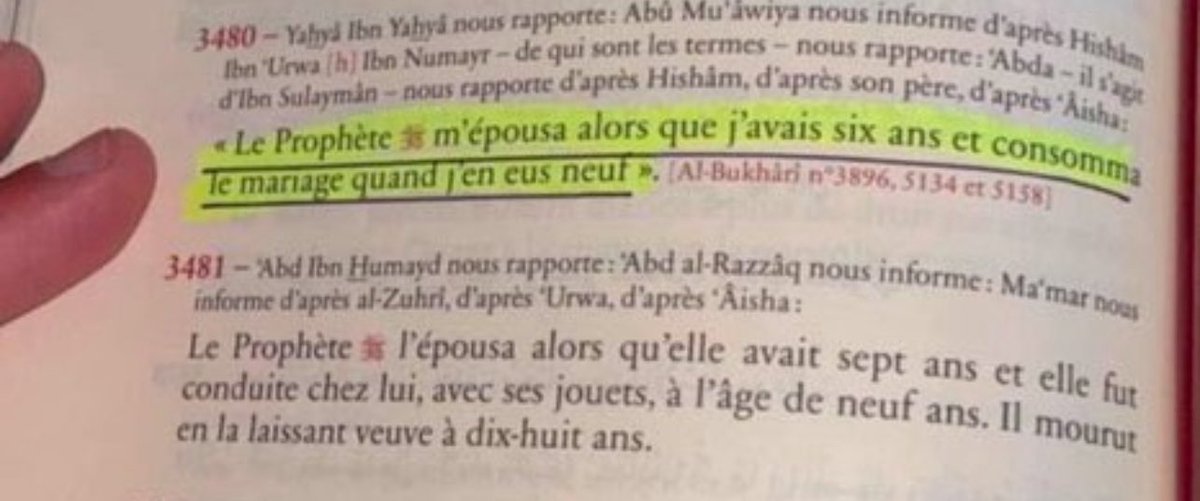 slate book tweet media