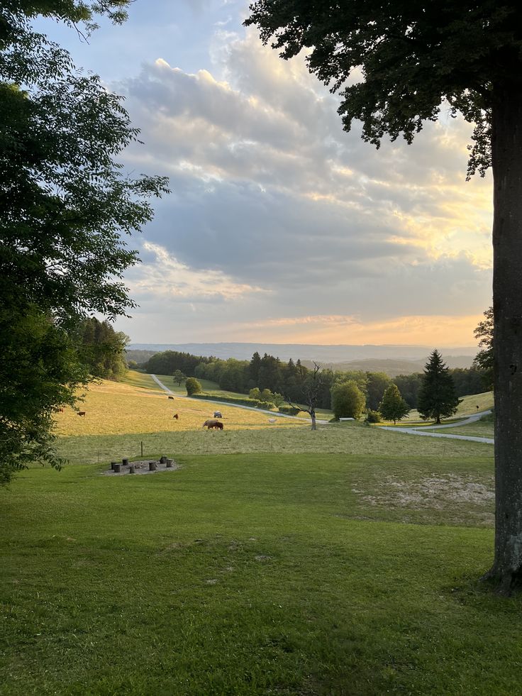 𝕰𝖑𝖊𝖒𝖒𝖎𝖗𝖊 tweet media