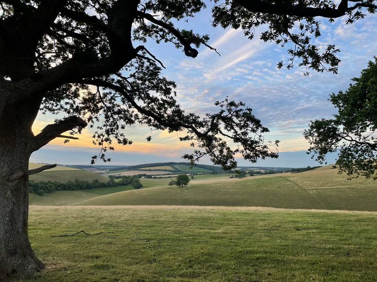 𝕰𝖑𝖊𝖒𝖒𝖎𝖗𝖊 tweet media