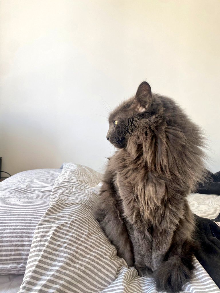 Sra Cigarra tweet media