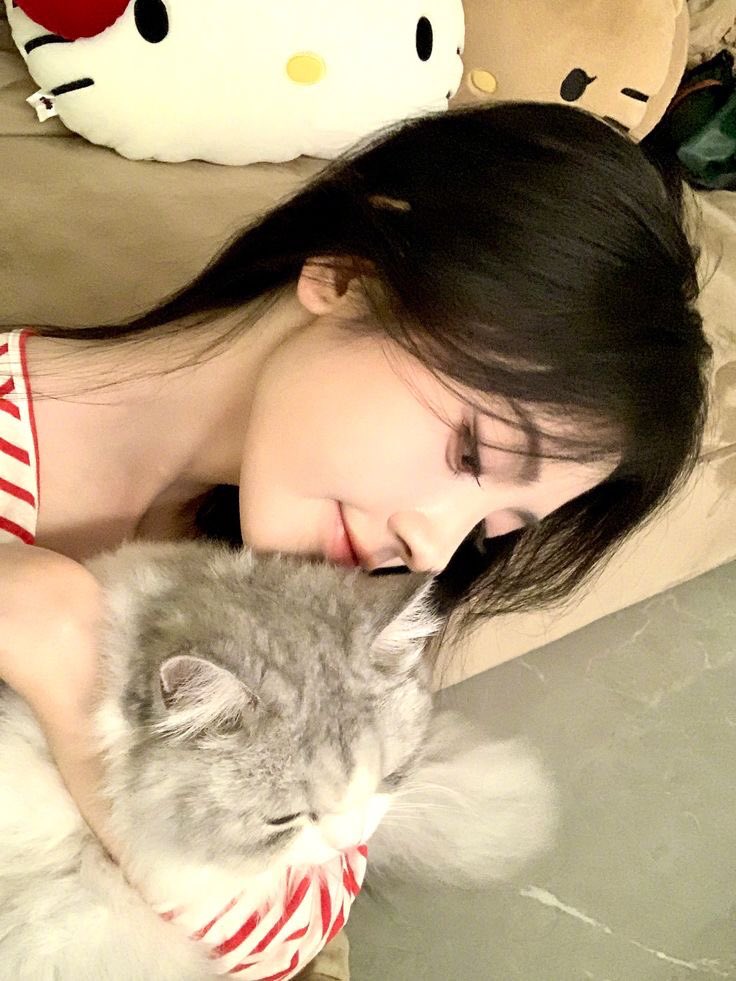 鞠婧禕KIKU. tweet media